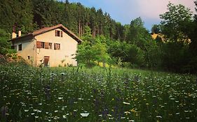 Alla Casetta B&B